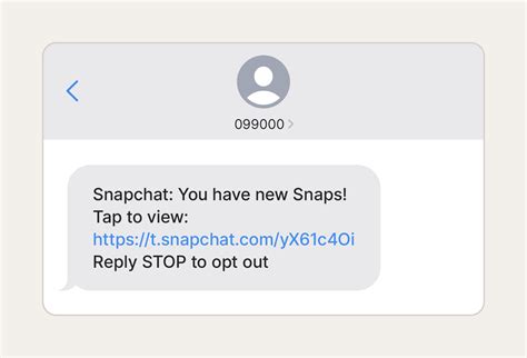 fake snapchat picture|how to scam on snapchat.